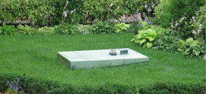 Аэрационная установка для очистки сточных вод ТОПОЛ-ЭКО  ТОПАС 20 Пр